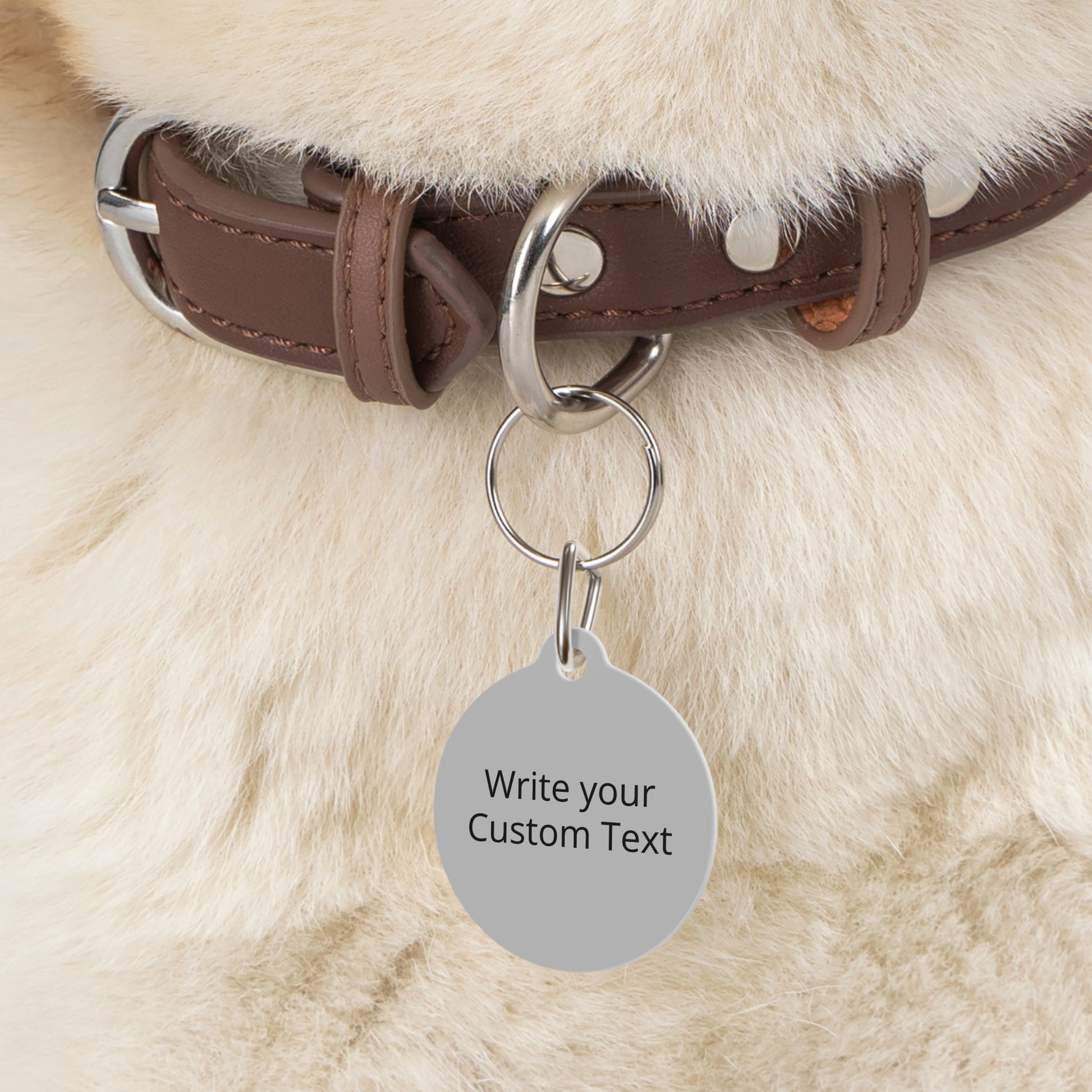 Dog collar with a customizable pet tag on a soft fur background