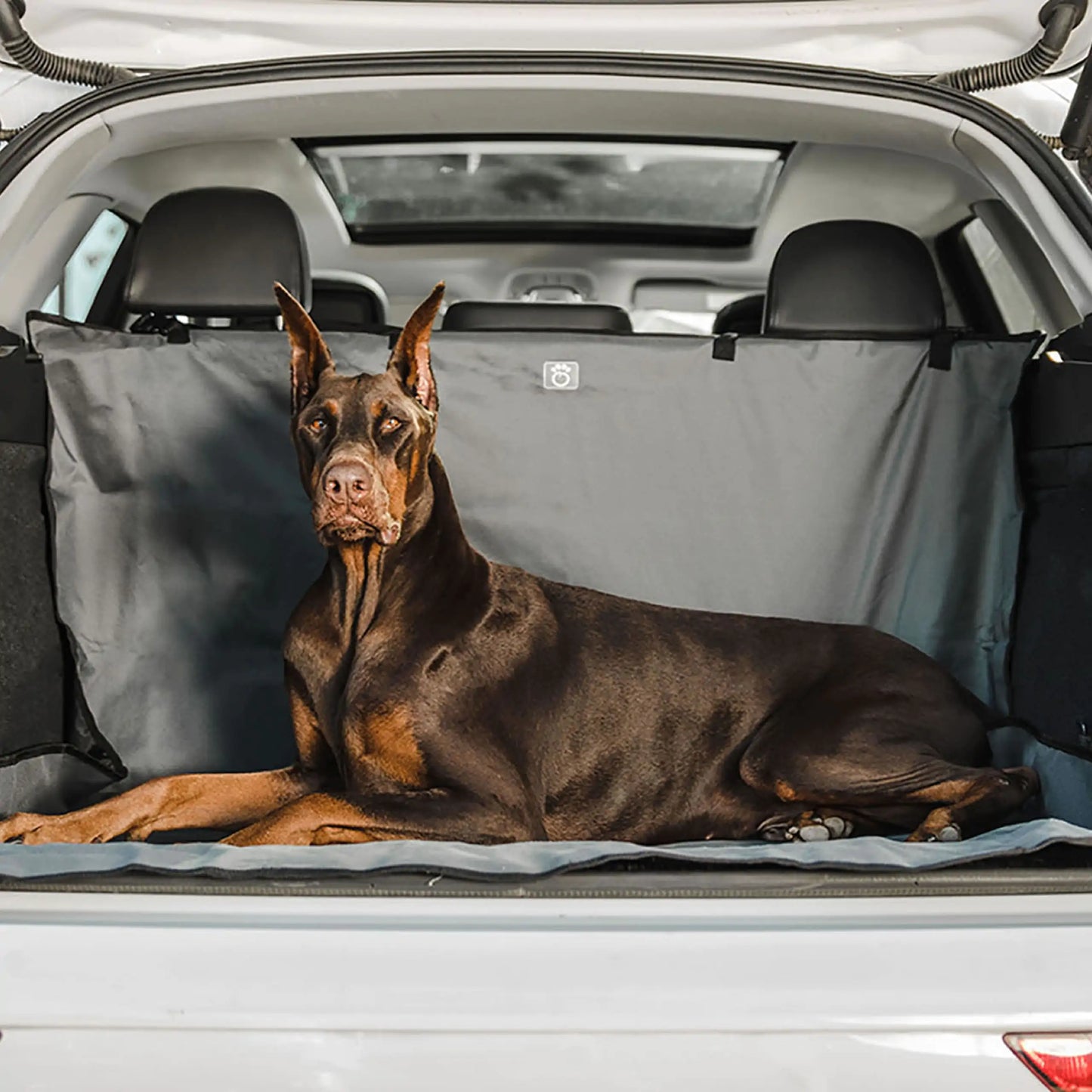 SUV Cargo Cover