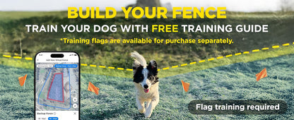 Dog running on grass with a smartphone app displaying a training map, promoting free training guide and flag training.