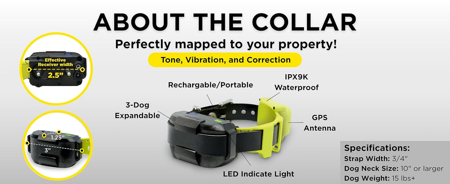 Dog collar with features highlighted on a white background