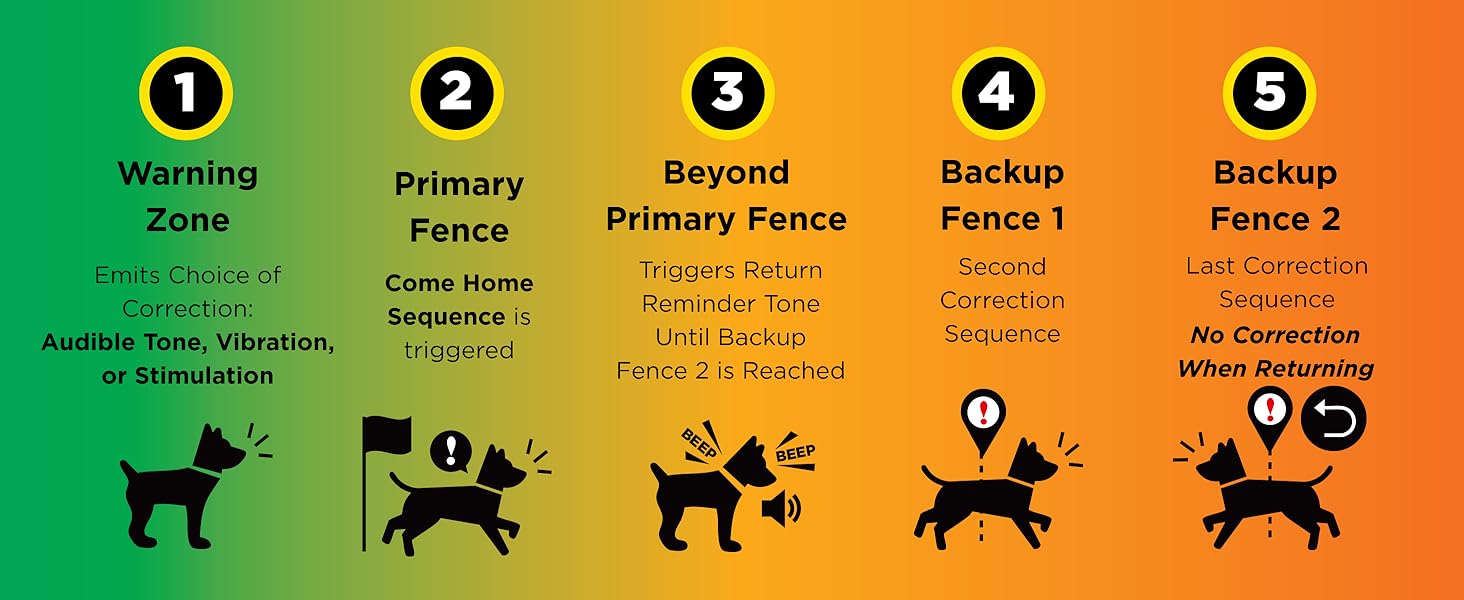 Diagram of a dog training system with five stages on an orange and green background.