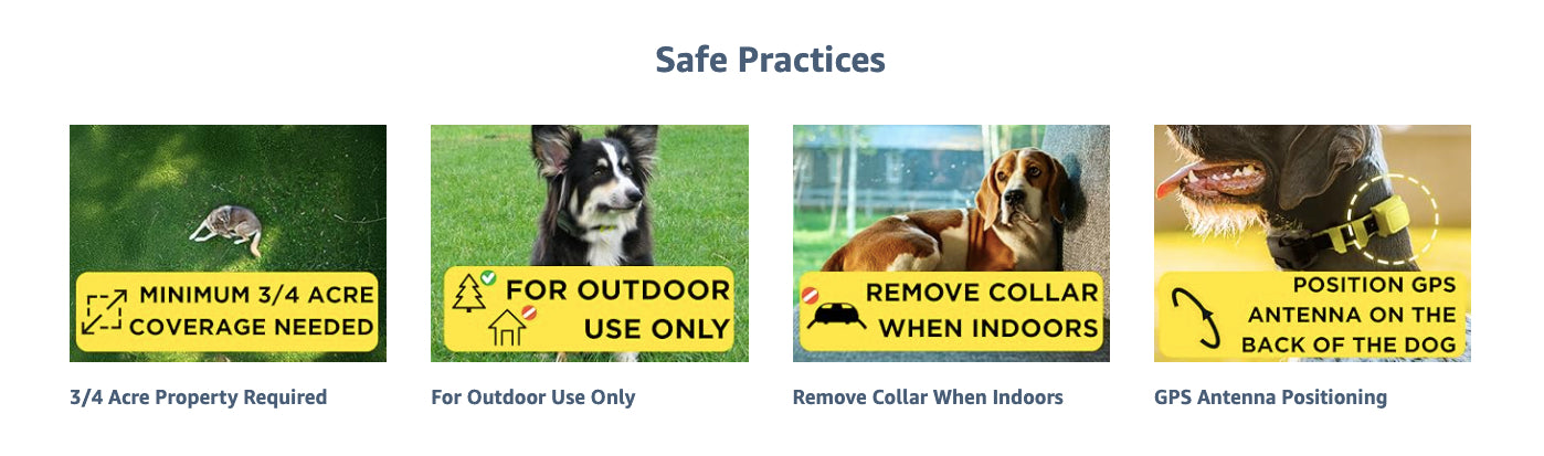 Illustrations of dogs with safety tips for pet owners on a green background