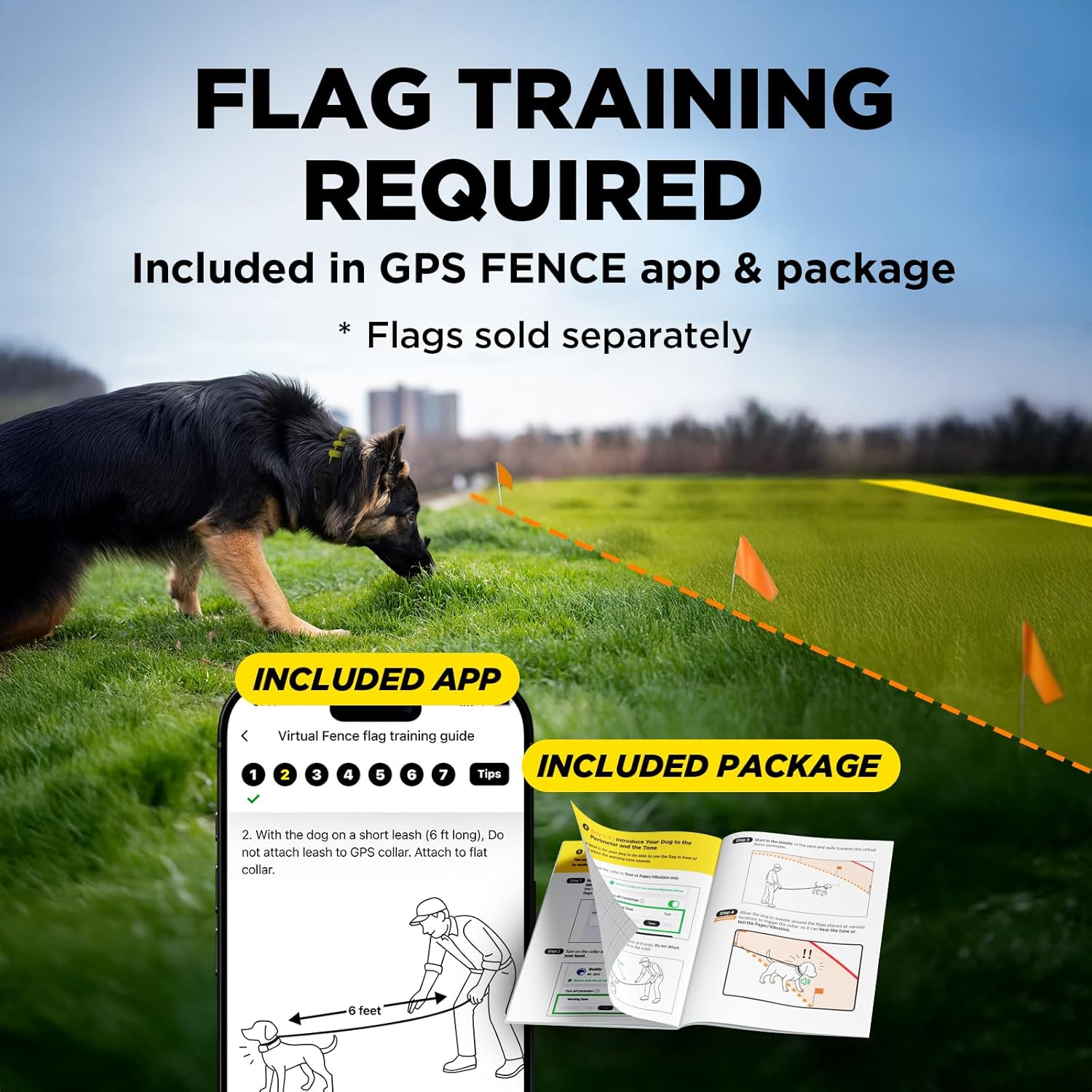 Dog training system with GPS fence app and package on grassy field
