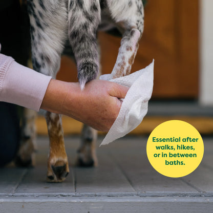 Earth Rated Dog Grooming Wipes — Unscented, 100 Count