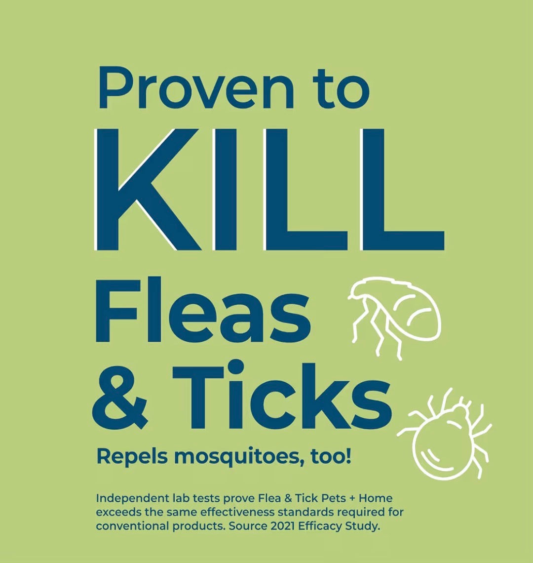 Wondercide® Flea & Tick Spray for Pets + Home — Natural Essential Oils | Rosemary, Cedarwood & Lemongrass