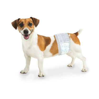 Four Paws Wee-Wee Disposable Male Dog Wraps — X-Small/Small, 36 Count | 12-Hour Leak Protection for Marking & Incontinence