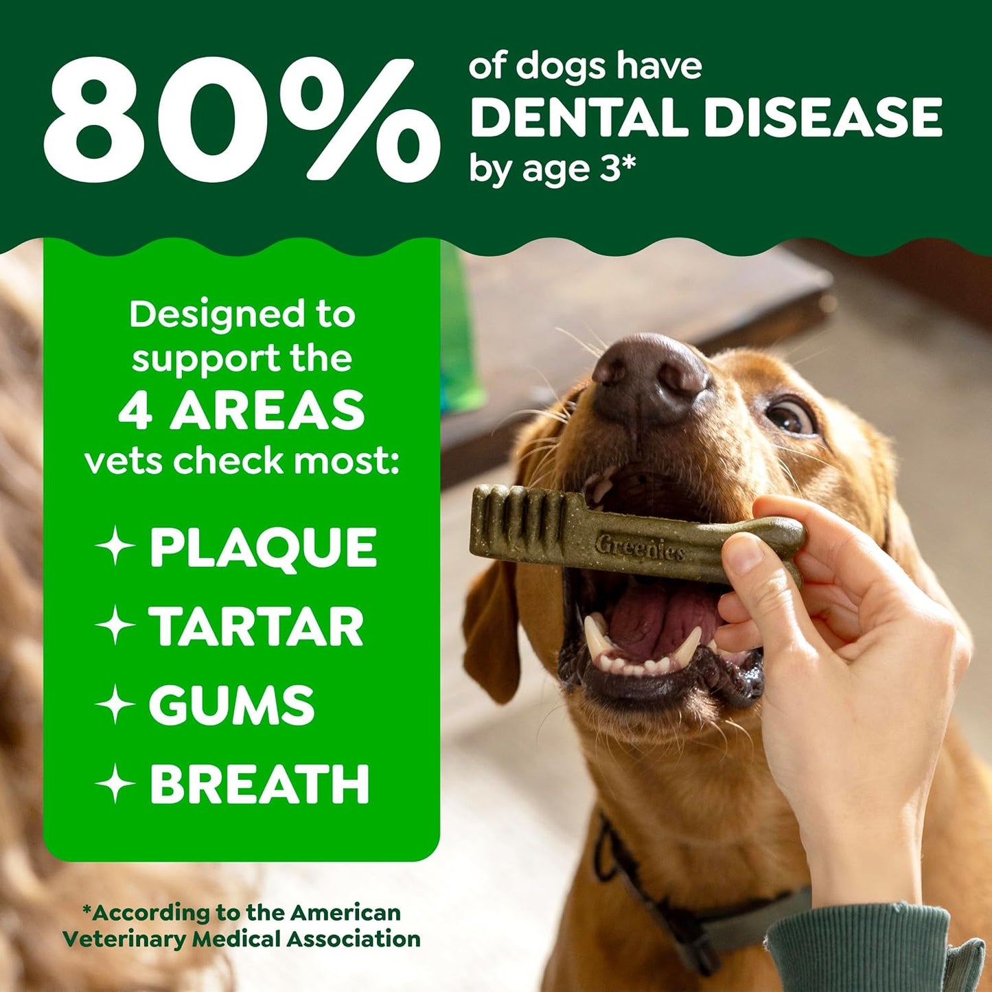 GREENIES® Daily Dental Chews for Regular Dogs (25–50 lb)
