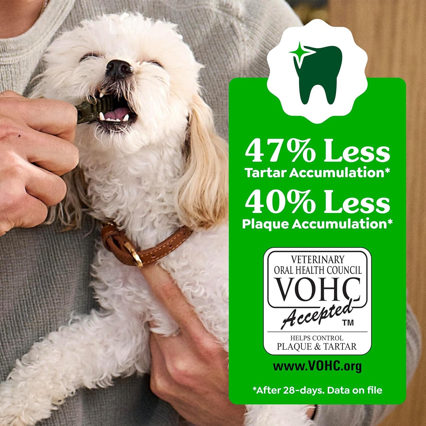 GREENIES® Daily Dental Chews for Regular Dogs (25–50 lb)