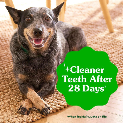 GREENIES® Daily Dental Chews for Large Dogs (50–100 lb)