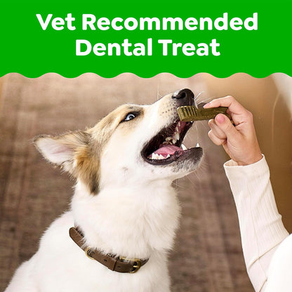 GREENIES® Daily Dental Chews for Large Dogs (50–100 lb)