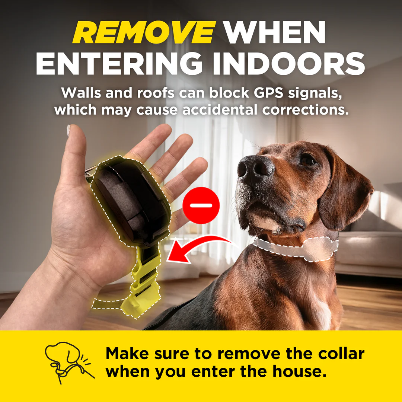 No Subscription GPS Dog Fence — App-Controlled Wireless Boundary System for Large Properties (Dogtra®)