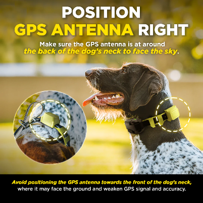 No Subscription GPS Dog Fence — App-Controlled Wireless Boundary System for Large Properties (Dogtra®)
