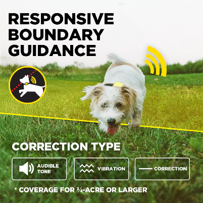 No Subscription GPS Dog Fence — App-Controlled Wireless Boundary System for Large Properties (Dogtra®)