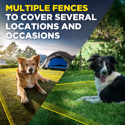 No Subscription GPS Dog Fence — App-Controlled Wireless Boundary System for Large Properties (Dogtra®)