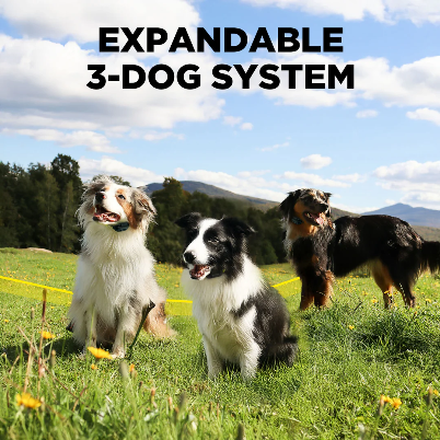 No Subscription GPS Dog Fence — App-Controlled Wireless Boundary System for Large Properties (Dogtra®)