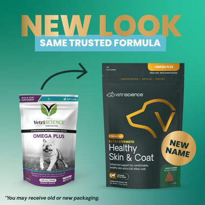 VetriScience Omega Plus Advanced Skin & Coat Supplement for Dogs — Duck Flavor, 40 Chews