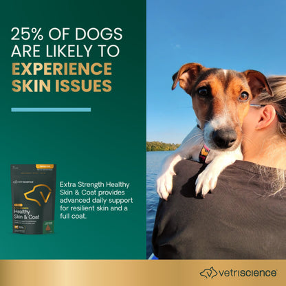 VetriScience Omega Plus Advanced Skin & Coat Supplement for Dogs — Duck Flavor, 40 Chews