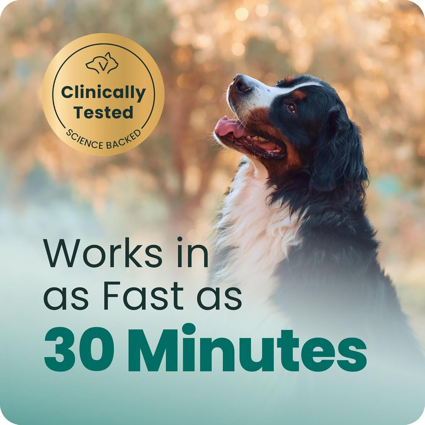 VetriScience® Composure Long-Lasting Calming Chews | 50 Count