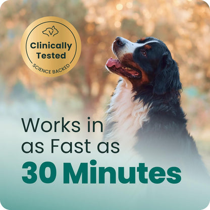 VetriScience® Composure Long-Lasting Calming Chews