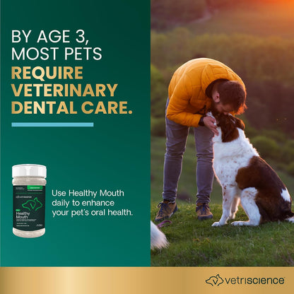 VetriScience® Dental Care Powder for Dogs & Cats | 4.2 oz