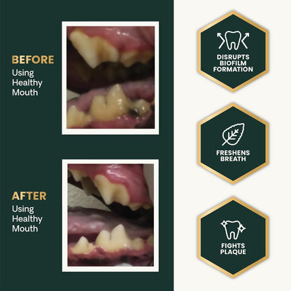 VetriScience® Dental Care Powder for Dogs & Cats | 4.2 oz