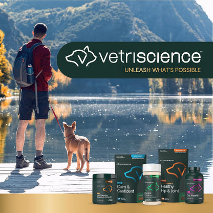 VetriScience® Dental Care Powder for Dogs & Cats | 4.2 oz