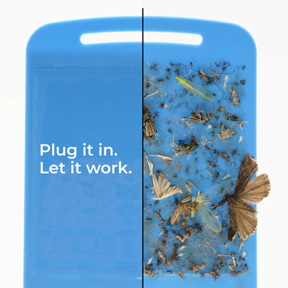 Wondercide® GlowGuard Flying Insect Trap + Refills