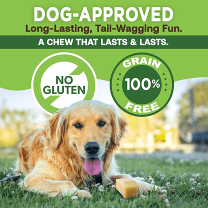 Himalayan Yak Cheese Dog Chews Gold, Long-Lasting High-Protein Dental Treats, 1 lb Bag with 16 Small Chews