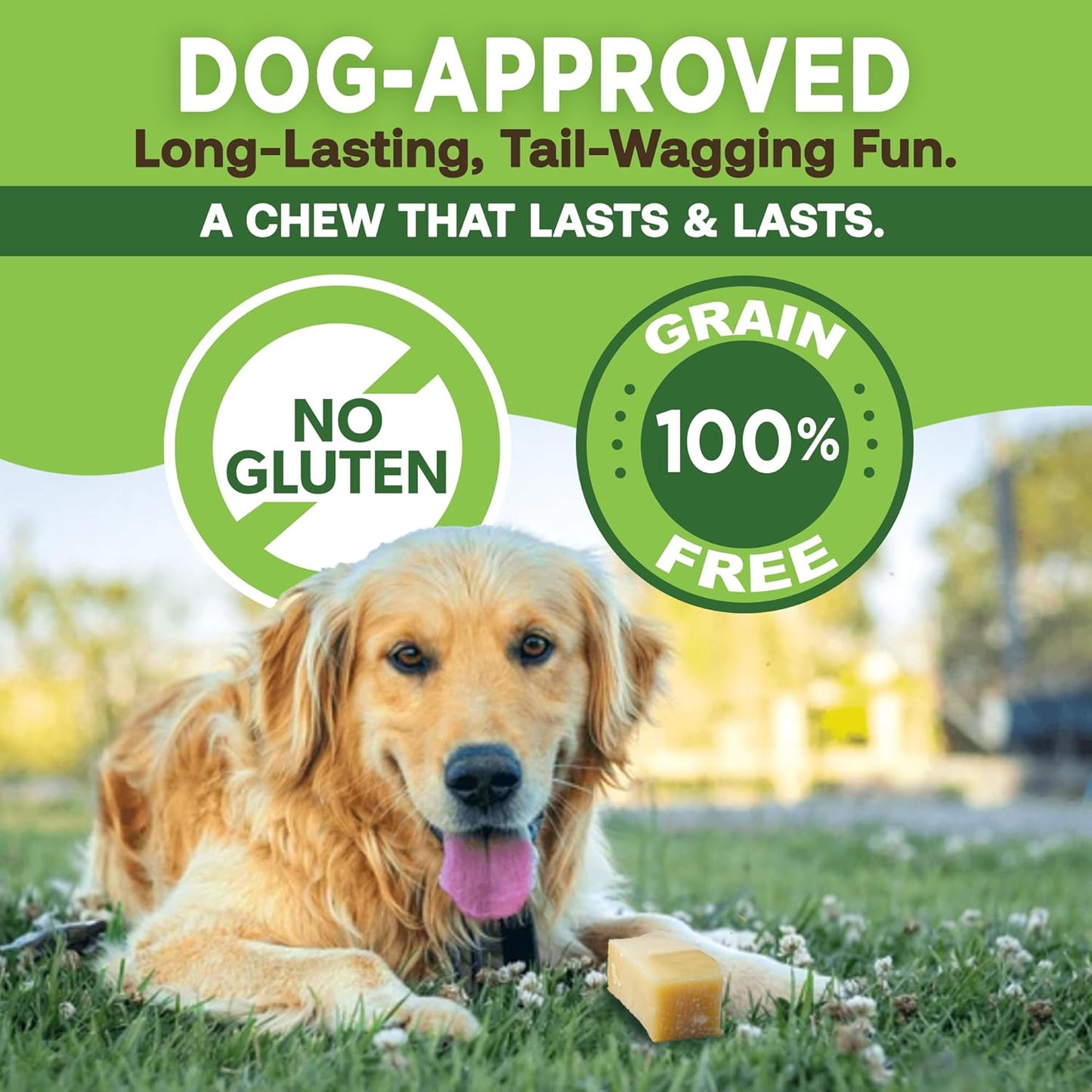 Himalayan Gold Yak Cheese Dog Chews | Long-Lasting, High-Protein Dental Treat | Puppy to Adult Bulk Bags