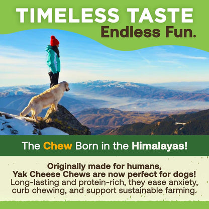 Person and dog on a mountain with promotional text about 'The Chew' in the Himalayas.