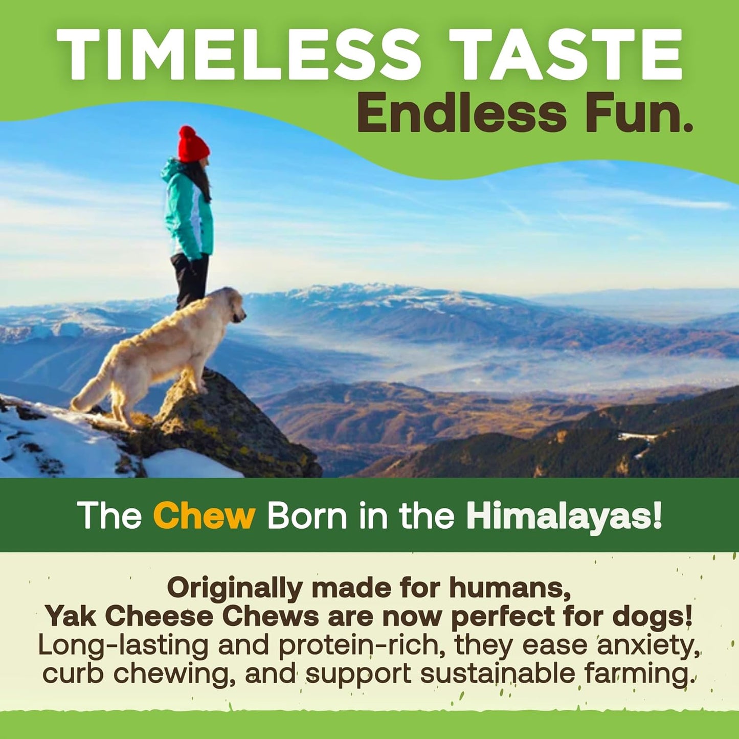 Himalayan Gold Yak Cheese Dog Chews | Long-Lasting, High-Protein Dental Treat | Puppy to Adult Bulk Bags