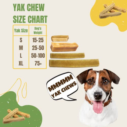 EcoKind Pet Treats Himalayan Large Gold Yak Dog Chews: The Long-Lasting, All-Natural, High Protein Chew for Dental Health