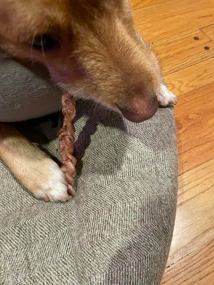 All-Natural 6” Braided Bully Sticks – Healthy, Rawhide-Free Dog Chews