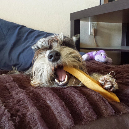 Himalayan Gold Yak Large Dog Chews: The Long-Lasting, All-Natural, High Protein Chew for Dental Health
