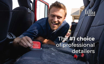 Lilly Brush Mini Pet Hair Detailer | Reusable Fur Remover for Car Interior, Carpet, Couch & Furniture