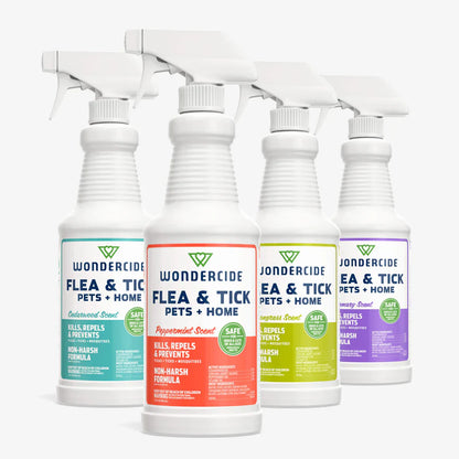 Four bottles of Wondercide flea and tick treatment with different colored labels on a white background.