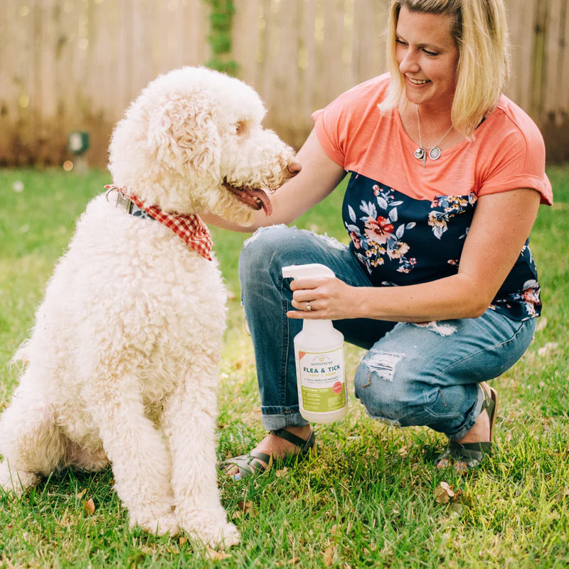 Wondercide® Flea & Tick Spray for Pets + Home — Natural Essential Oils | Rosemary, Cedarwood & Lemongrass