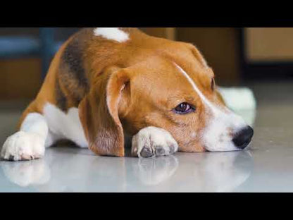 VetriScience® Composure Long-Lasting Calming Chews