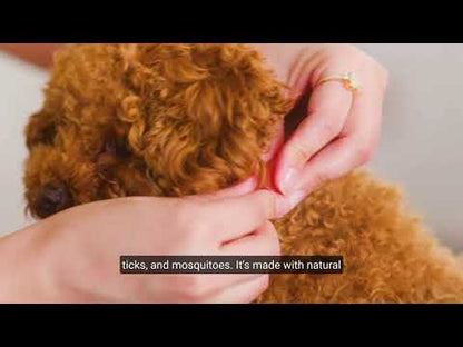 Wondercide® 4-Month Flea & Tick Collar | Dogs + Cats