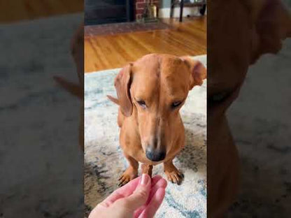 VetriScience® Composure Long-Lasting Calming Chews