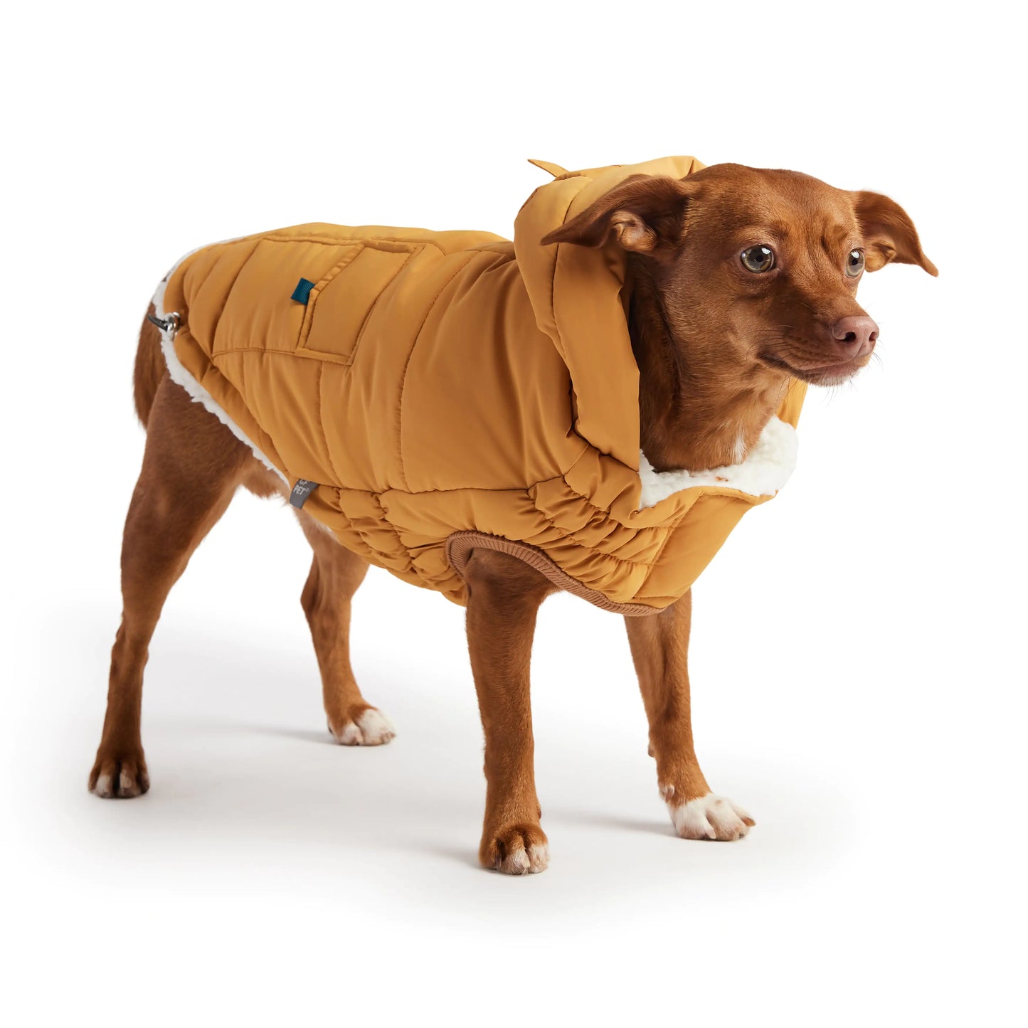 Super Puff Dog Parka Yellow Luxury Winter Pet Coat